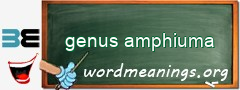 WordMeaning blackboard for genus amphiuma